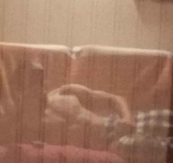 Profil de Lazare, 39 ans, Rencontre Libertine à Schötz (Lucerne)