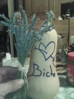 Profil de Abdoullah, 31 ans, Rencontre Libertine à Rona (Grisons)