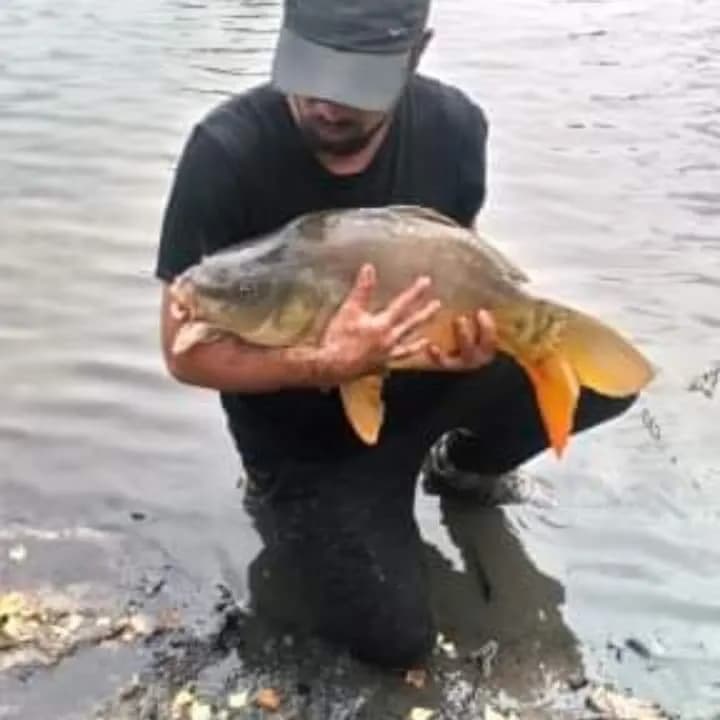 Profil de Francisco, 41 ans, Rencontre Libertine à Därstetten (Berne)