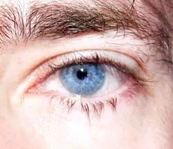 Profil de Manuel, 26 ans, Rencontre Libertine à Müllheim Dorf (Thurgovie)